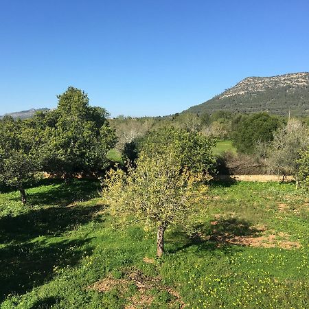 Son Sampol Villa Llucmajor  Buitenkant foto