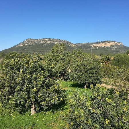 Son Sampol Villa Llucmajor  Buitenkant foto