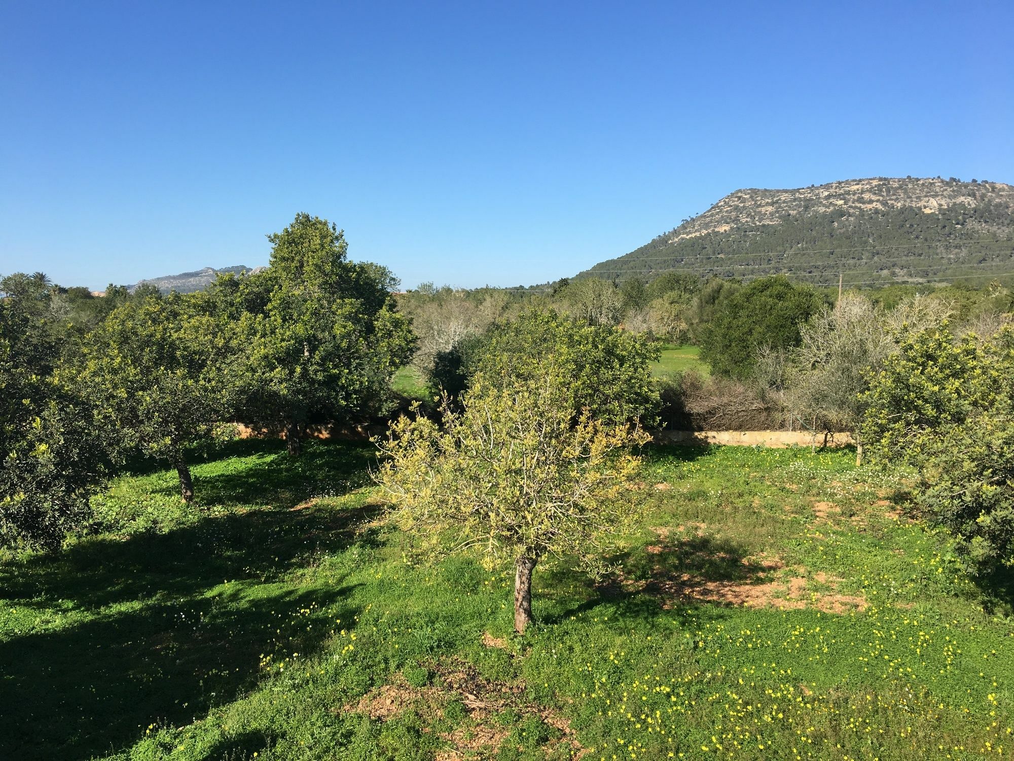 Son Sampol Villa Llucmajor  Buitenkant foto
