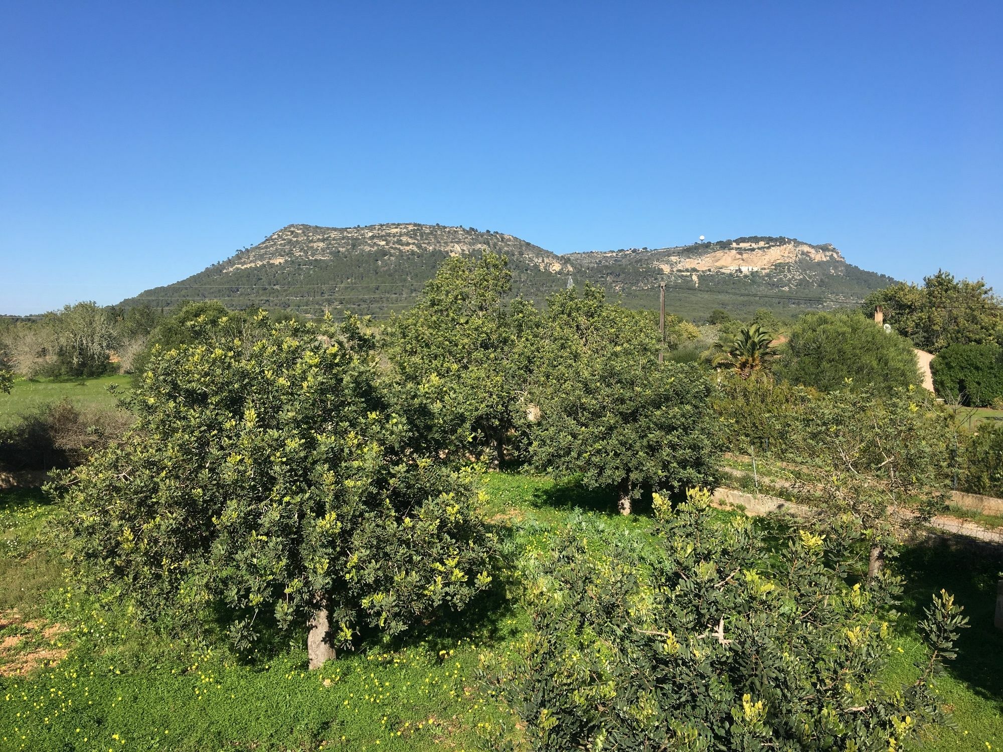 Son Sampol Villa Llucmajor  Buitenkant foto