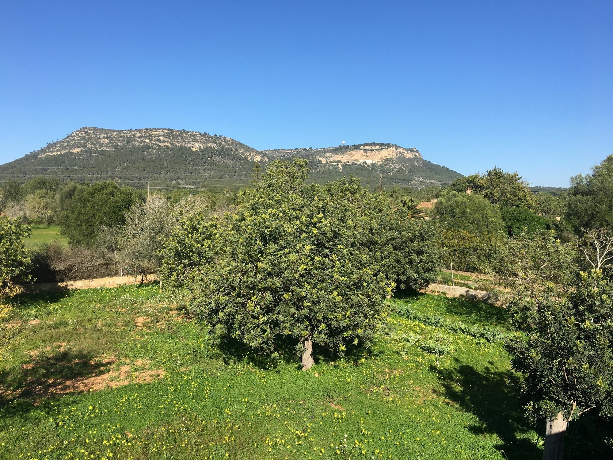 Son Sampol Villa Llucmajor  Buitenkant foto